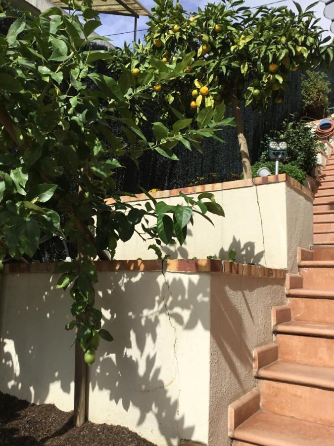 Villa Paradiso, Logement Avec Piscine, Nice Nord Dış mekan fotoğraf